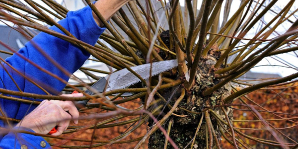 <p>15x aan de slag in de tuin</p>