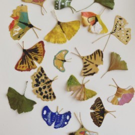 Seasons